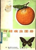 柑桔病虫图册（1975 PDF版）