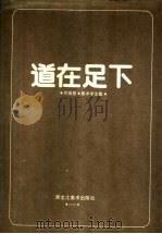 道在足下 邓福星美术学文集 1990 PDF电子版封面 7531800721 邓福星著