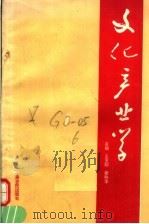 文化产业学 1994 PDF电子版封面 7805387052 王玉印,郑晓华主编