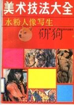 美术技法大全 水粉人像写生 1990 PDF电子版封面 7541004847 陈延著