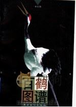 百鹤图谱 1998 PDF电子版封面 7536215622 关荫沛绘;本社编