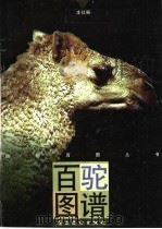 百驼图谱 1997 PDF电子版封面 7536215606 李跃等绘;本社编