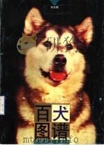 百犬图谱 1996 PDF电子版封面 7536213549 白光诚等绘;本社编