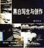 黑白写生与创作（1991 PDF版）