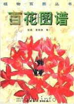 百花图谱（1998 PDF版）