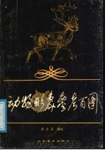 动物形象参考百图 1988 PDF电子版封面 7533001354 阎金良编绘