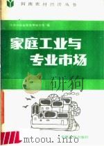 家庭工业与专业市场 1986 PDF电子版封面 4394·5 中共河南省委政策研究室编
