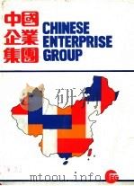 中国企业集团 1989 PDF电子版封面 7507401502 中国城市信息交流研究部编