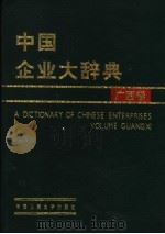 中国企业大词典 广西卷 1992 PDF电子版封面 7300015905 刘恩炳等主编