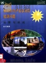 里约热内卢会议后的能源问题前景与挑战  执行摘要（ PDF版）
