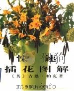 快速插花图解（1998 PDF版）