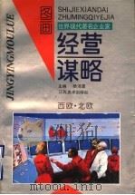 世界现代著名企业家经营谋略图画 西欧·北欧 1992 PDF电子版封面 7805801096 杨沛霆主编