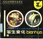 100花图案写生变化 上 1991 PDF电子版封面 753560434X 杨乾钊等绘