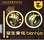 100花图案写生变化 下 1991 PDF电子版封面 7535604358 杨乾钊等绘
