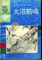 大沼鹤鸣 1997 PDF电子版封面 7543405245 梁泊著