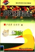 国际经济合作 1999 PDF电子版封面 7800046923 卢进勇,杜奇华著