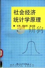 社会经济统计学原理 1994 PDF电子版封面 7561509316 颜金锐,张兴国主编
