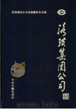 洛玻集团公司志 1995 PDF电子版封面 7534814650 程荣法,渠世忠主编;洛玻集团公司志编纂委员会编