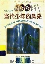 100个当代少年的风彩 1996 PDF电子版封面 7532427536 本社编
