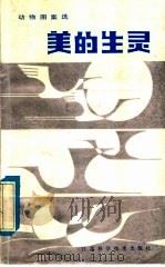 美的生灵 动物图案选 1985 PDF电子版封面 8196·056 高云编绘