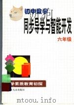 初中数学同步导学与智能开发  供六年级用（1999 PDF版）