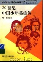 20世纪中国少年英雄传 1991 PDF电子版封面 7539712198 聪聪编著