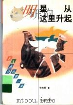 明星  从这里升起（1996 PDF版）