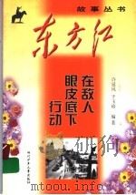 在敌人眼皮底下行动 1999 PDF电子版封面 7536521944 许延风,于玉珍编著