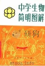 中学生物简明图解 1981 PDF电子版封面 7091·1229 王敬元编