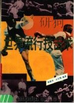 世界流行技击术（1989 PDF版）