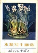 水粉写生画选（1979 PDF版）