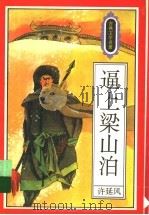 逼上梁山泊 1995 PDF电子版封面 7501512507 许延风编写