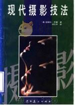 现代摄影技法 1991 PDF电子版封面 7531408805 (美)迈切尔·巴塞著;胡昌平译
