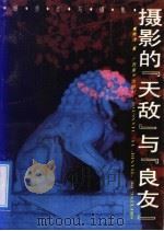 摄影的“天敌”与“良友” 细质点与摄影 1992 PDF电子版封面 780582309X 高秀峰著