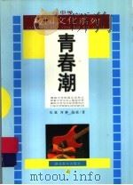 青春潮 1999 PDF电子版封面 7535123619 佐斌等著