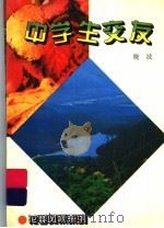 中学生交友 1996 PDF电子版封面 722104256X 晓波著