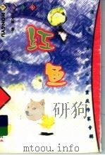红鱼 1999 PDF电子版封面 7536641532 王文顺著