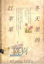 冬天里的红苹果（1999 PDF版）