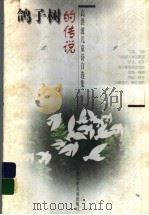 鸽子树的传说 高洪波儿童诗自选集 1997 PDF电子版封面 7539714751 高洪波著