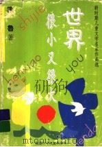 世界很小又很大 1996 PDF电子版封面 7539513349 徐鲁著