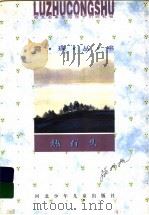 热石头 1996 PDF电子版封面 7537615756 肖复兴主编;张抗抗著