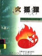 火狐狸（1995 PDF版）