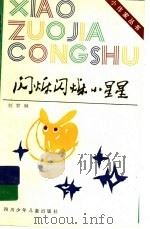 闪烁闪烁小星星 1994 PDF电子版封面 7536501609 刘梦琳著