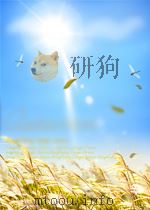 5DS+影视包装实例教程 Maya/After Effects综合应用篇（ PDF版）