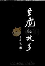 在龙的故乡 闽西首强·西安村发展纪实 1997 PDF电子版封面 7800029239 张永和著