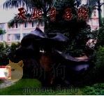 天然奇石馆（ PDF版）
