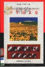 基础教育现代化教学基本功  中学语文卷（1997 PDF版）