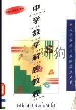 中学数学解题教程（1999 PDF版）