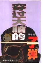 穿过大脑的子弹 1998 PDF电子版封面 7503918195 铁马著