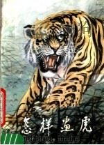怎样画虎（1988 PDF版）